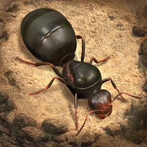 Ikon The Ants Underground Kingdom