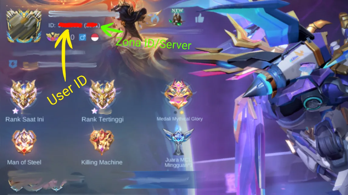 Profil Mobile Legends dengan penanda User ID dan Zone ID di bawah nama akun.